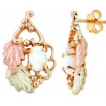 Opal Earrings - by Landstrom's